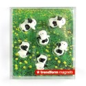 Magnete Kühe schwarz weiss