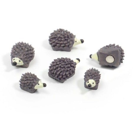 Magnete Igel 6er Set