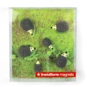 Magnete Igel 6er Set