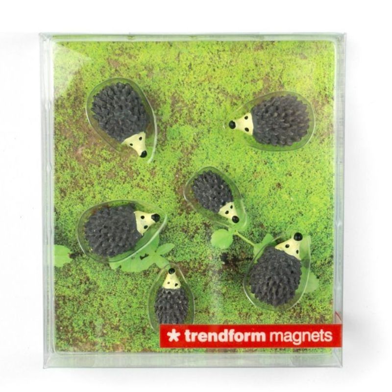 Magnete Igel 6er Set