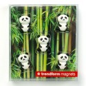 Magnete Panda 5er Set