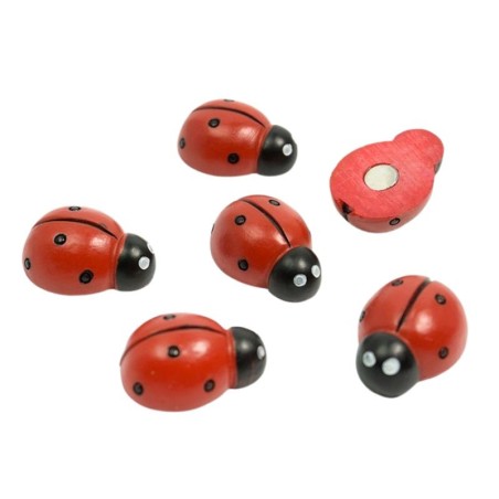 Magnete Marienkäfer 6er Set