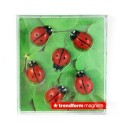 Magnete Marienkäfer 6er Set