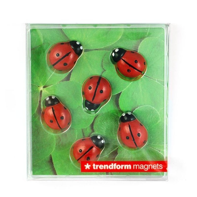 Magnete Marienkäfer 6er Set