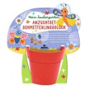 Anzuchtset Schmetterlingsglück