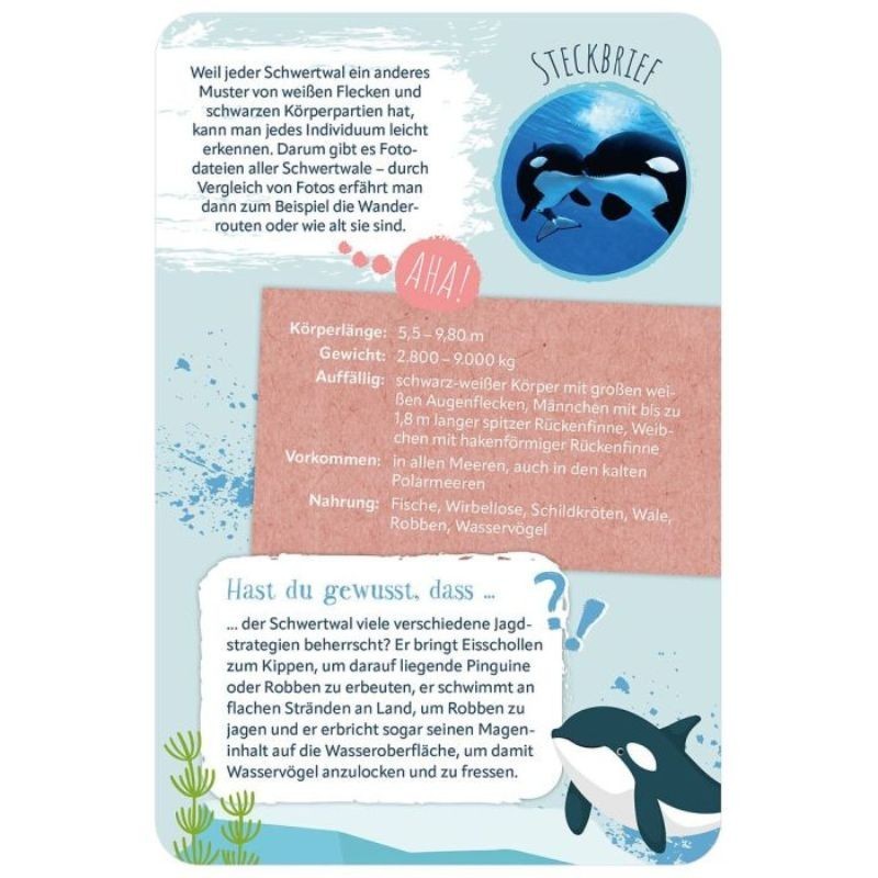 Die 100 schönsten Tiere der Welt