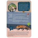 Die 100 schönsten Tiere der Welt