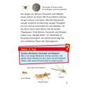 Pixi Wissen Bienen, Hummeln, Wespen
