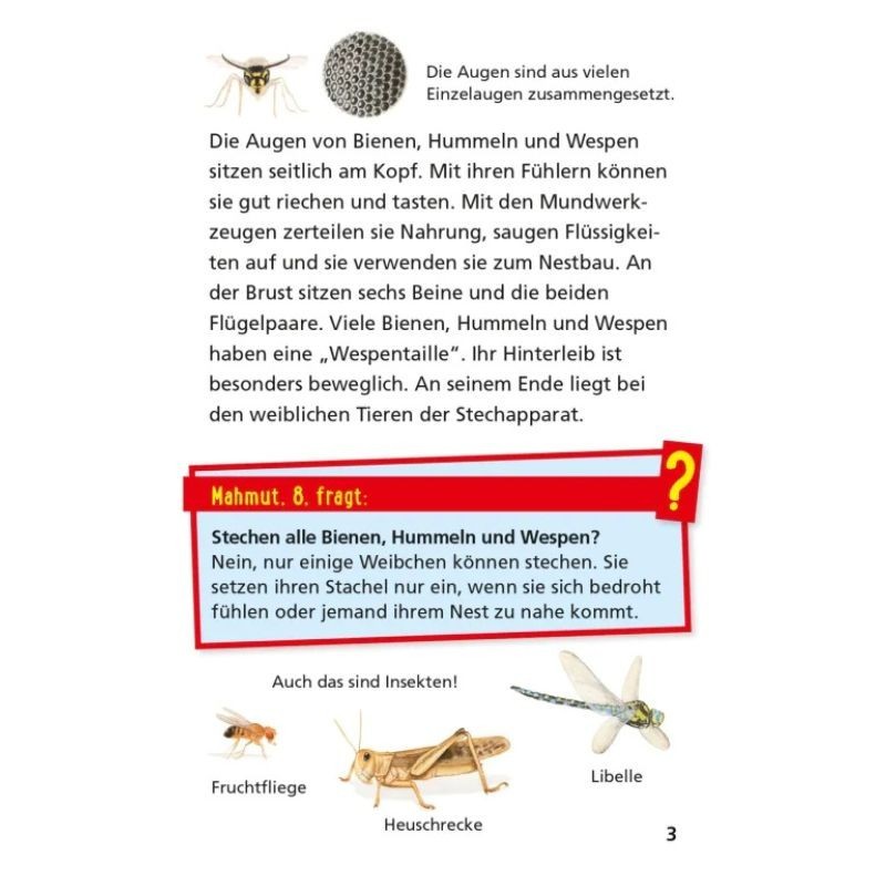 Pixi Wissen Bienen, Hummeln, Wespen