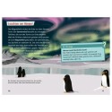 Pixi Wissen Arktis und Antarktis