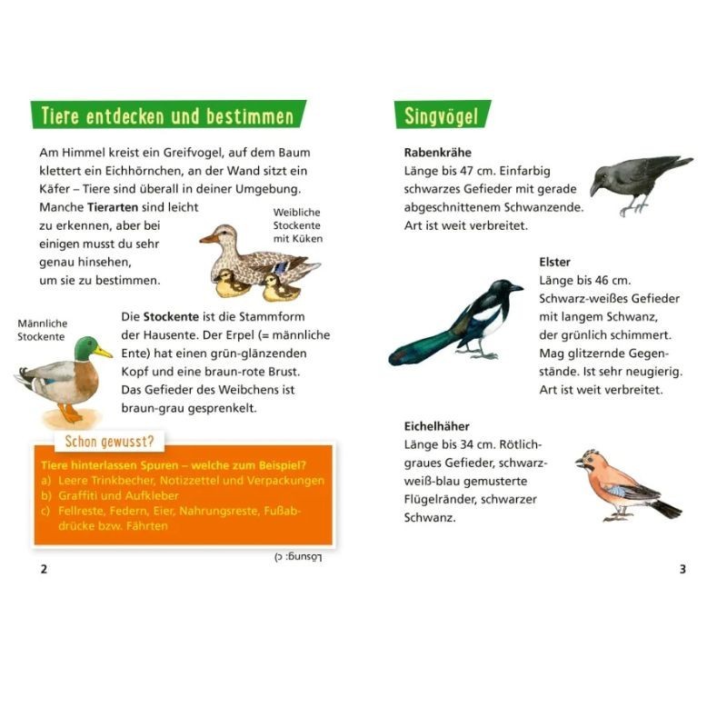 Pixi Wissen Tiere erkennen