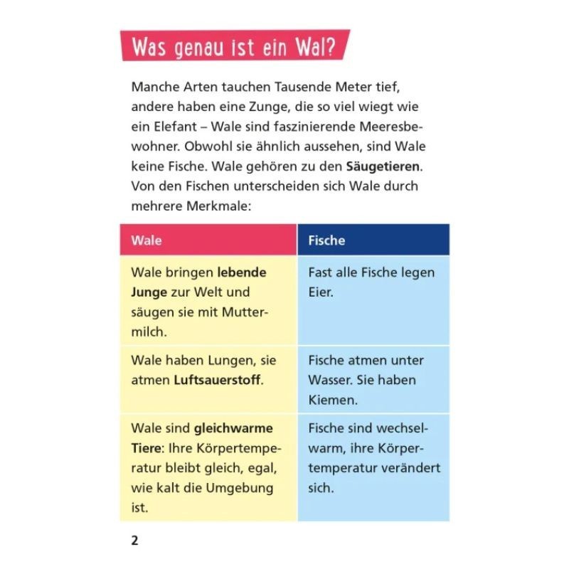 Pixi Wissen Wale und Delfine