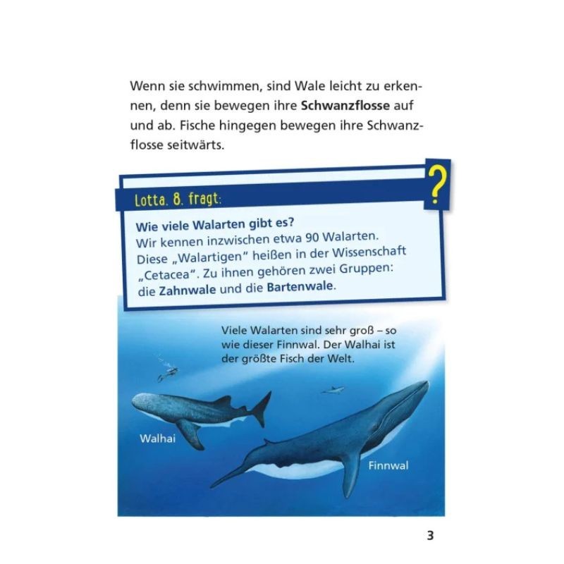 Pixi Wissen Wale und Delfine
