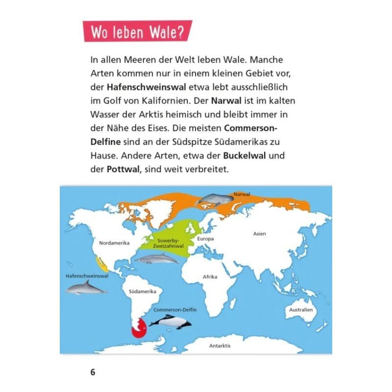 Pixi Wissen Wale und Delfine