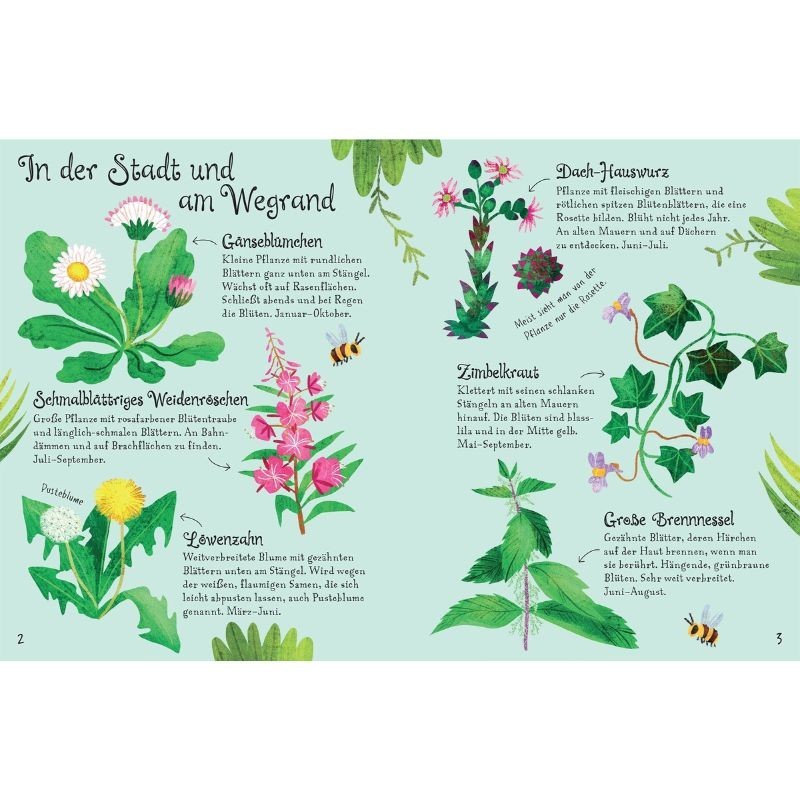 Naturführer Blumen Usborne minis