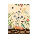 Postkarte Sommerwiese Gartenfreunde