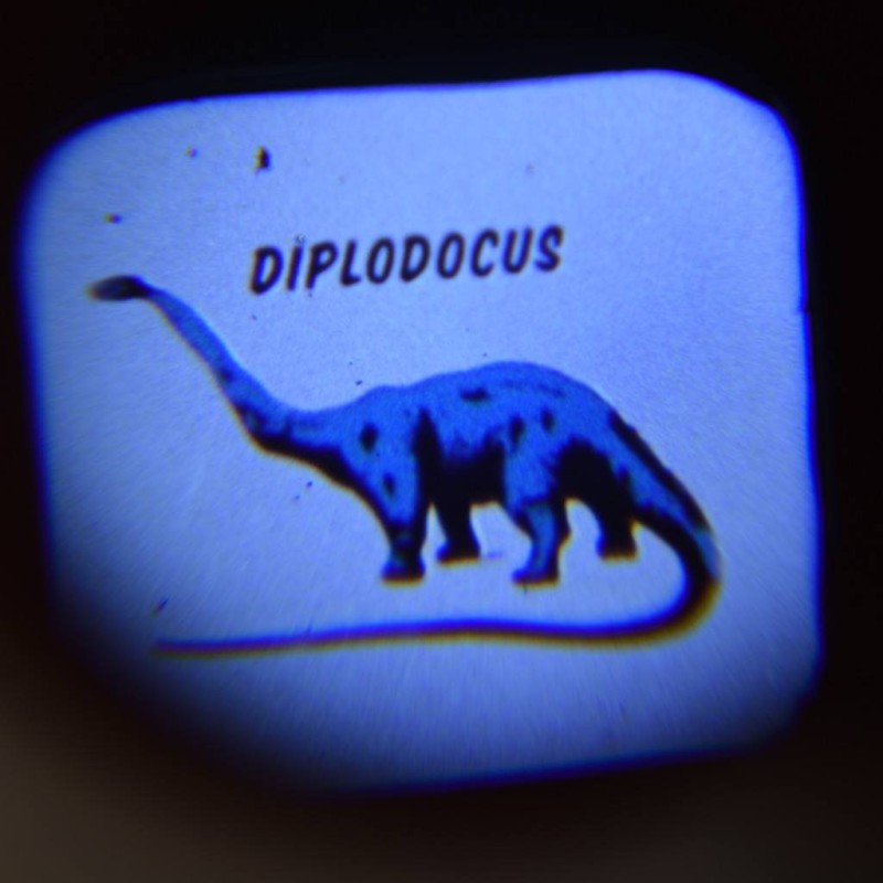 Projektionstaschenlampe Dinosaurier Prehistoric Land von Rex London