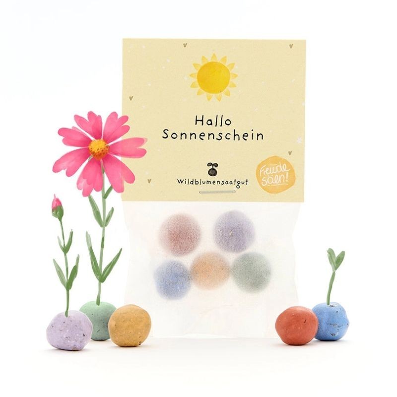 Blumenmurmeln Hallo Sonnenschein