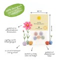 Blumenmurmeln Hallo Sonnenschein