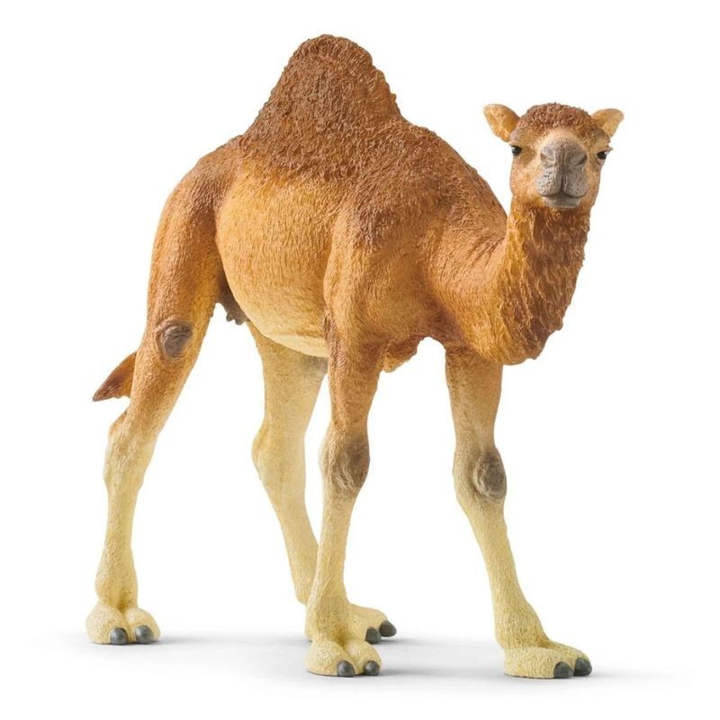 Schleich Tier Dromedar