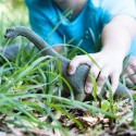 Schleich Dinosaurier Brachiosaurus