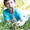 Schleich Dinosaurier Brachiosaurus