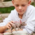 Schleich Dinosaurier Triceratops