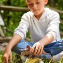 Schleich Dinosaurier Triceratops