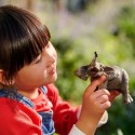 Schleich Tier Afrikanischer Elefantenbulle