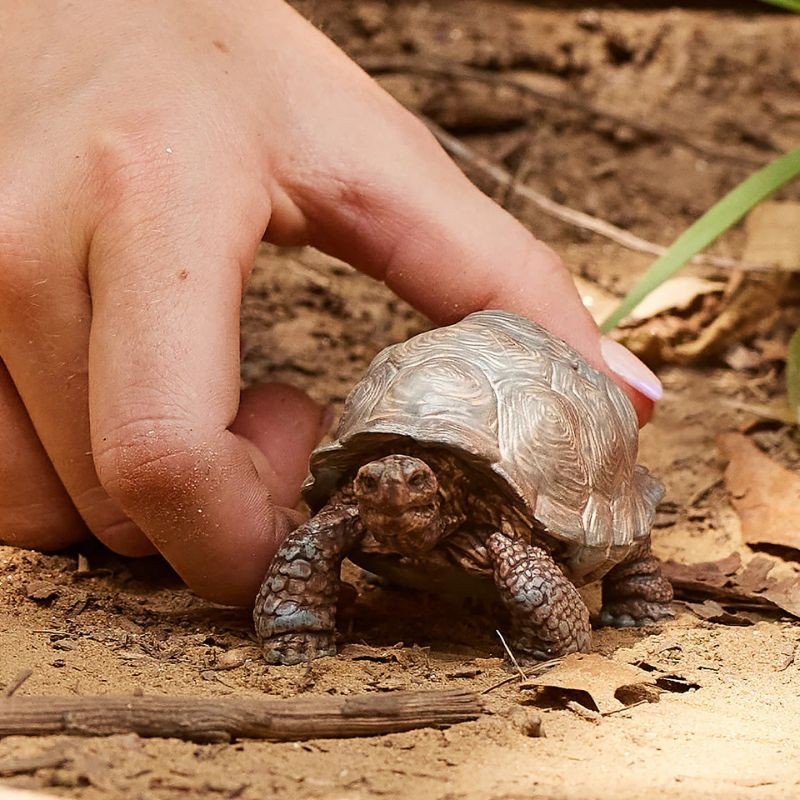 Schleich Tier Riesenschildkröte