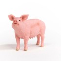 Schleich Tier Schwein