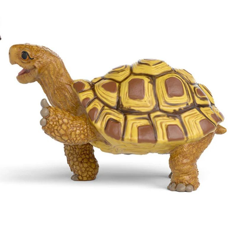 Henrietta die Schildkröte von Die Schule der magische Tiere