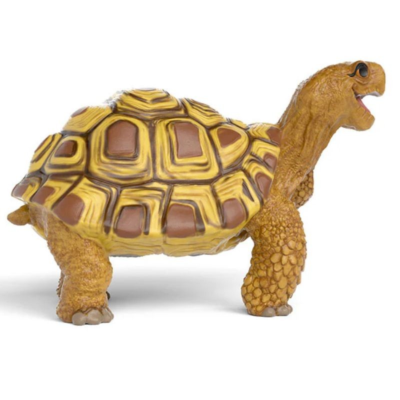 Henrietta die Schildkröte von Die Schule der magische Tiere