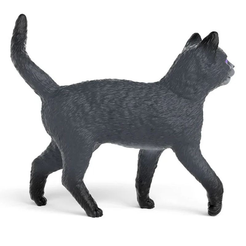 Kater Karajan von Die Schule der magische Tiere