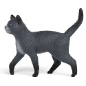 Kater Karajan von Die Schule der magische Tiere
