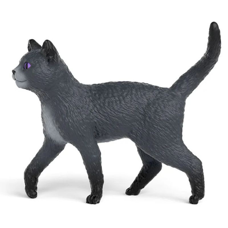 Kater Karajan von Die Schule der magische Tiere