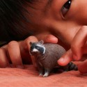 Schleich Tier Waschbär