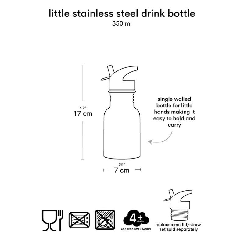 Trinkflasche Edelstahl Dinosaurier