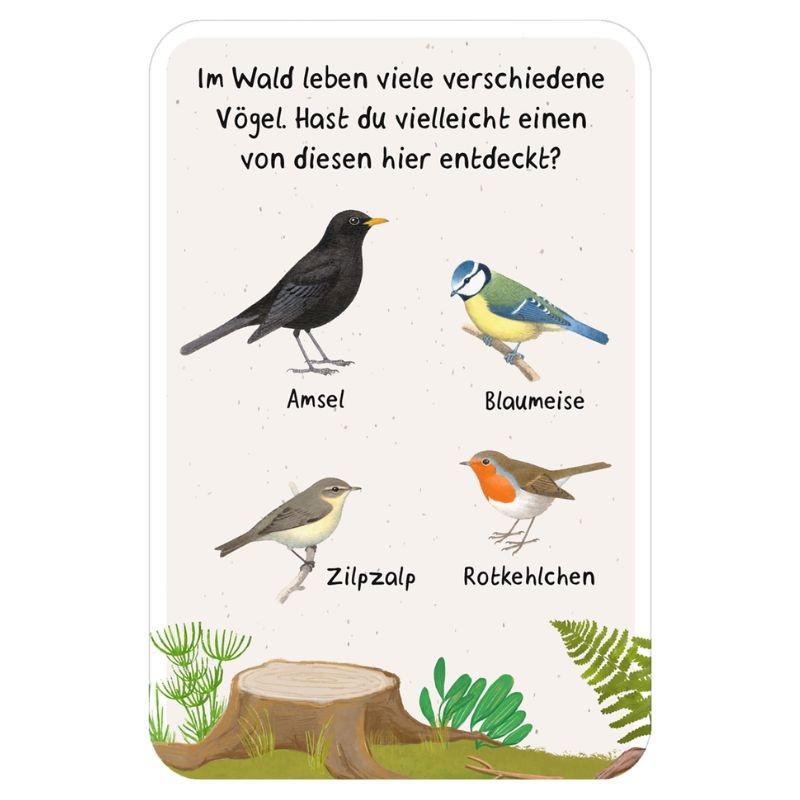 50 Entdeckerkarten Suchspiele in der Natur