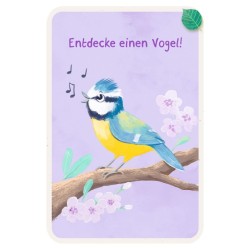 50 Entdeckerkarten Suchspiele in der Natur