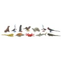 Tiere auf Galapagos - Set mit 12 kleinen handbemalten Figuren