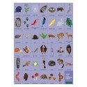 Suche & Finde Waldtiere Puzzle mit 64 Teilen