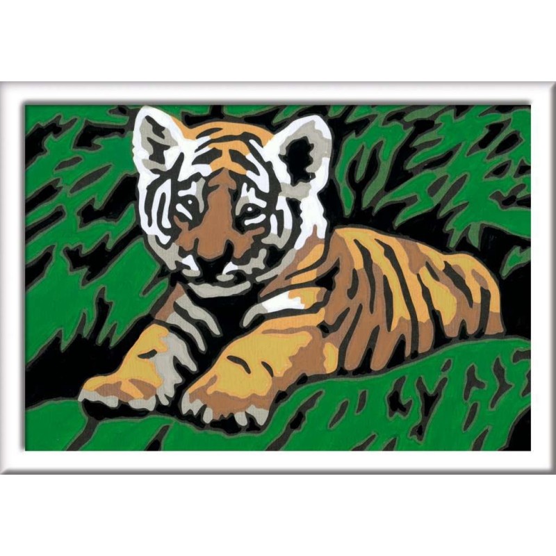 Malen nach Zahlen Malset Süsser Tiger
