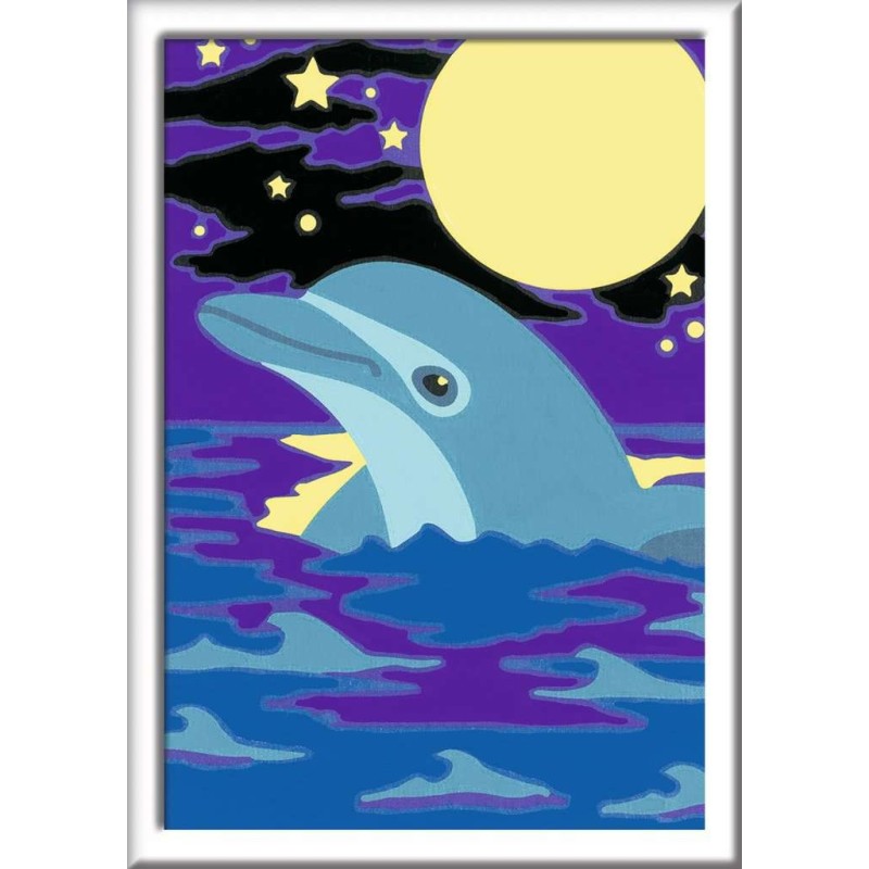Malen nach Zahlen Malset Kleiner Delfin