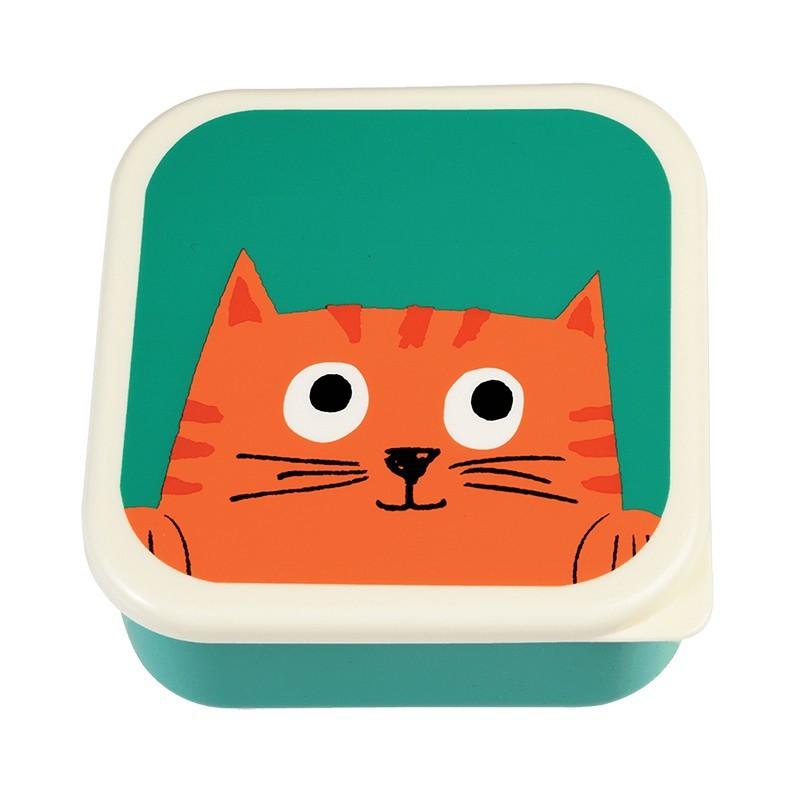 Znünibox Set Chester the Cat von Rex London