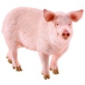 Schleich Tier Schwein stehend
