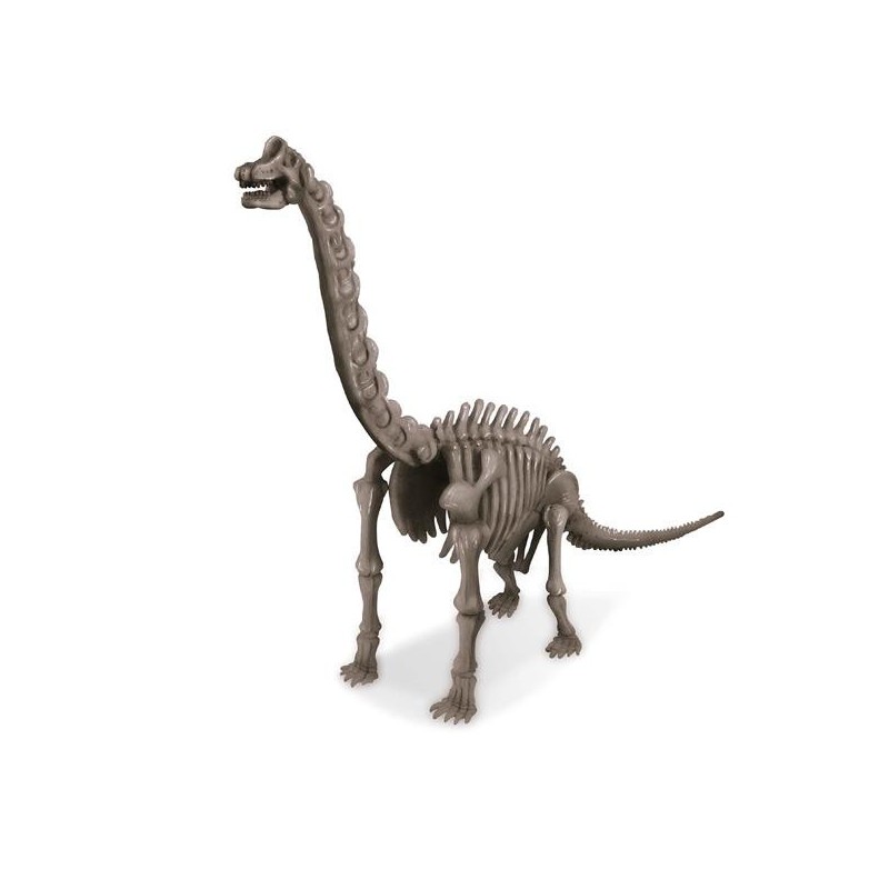 Brachiosaurus Dinosaurier ausgraben