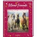 Freundebuch Pferdefreunde mit 3D Bild