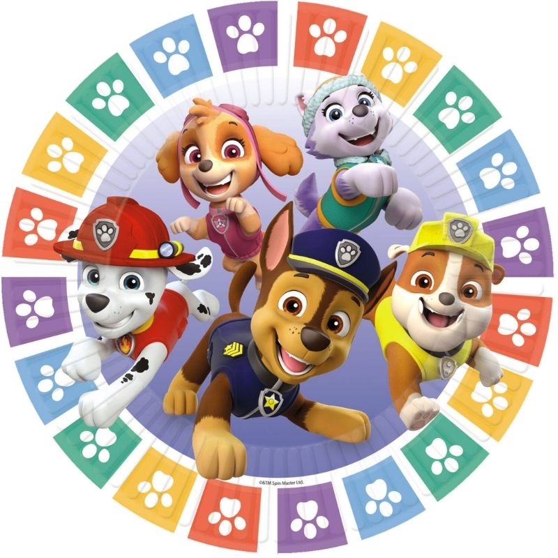 PAW Patrol Party
